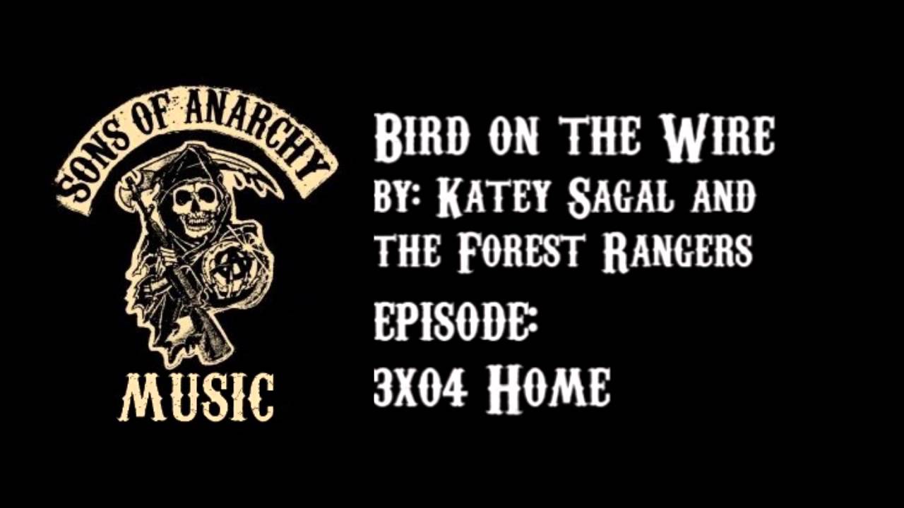 Bird On A Wire Lyrics – Katey Sagal Featuring The Forest Rangers