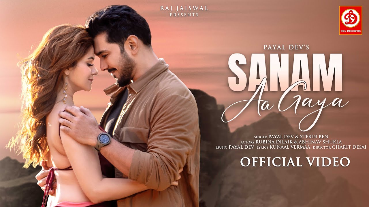 सनम आ गया Sanam Aa Gaya Lyrics in Hindi – Payal Dev, Stebin Ben