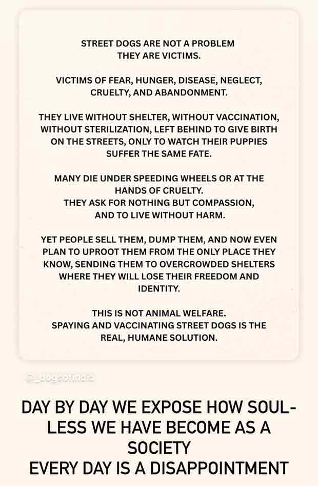 Sonakshi Sinha ruled the large scale imprisonment of stray dogs; Call the hypocrisy of the government: Bollywood News - IHNS The Bollywood star officials joined the chorus of voices, condemning rigorous measures against road dogs, raising concerns over suppressing the citizen issues ignored by the authorities.