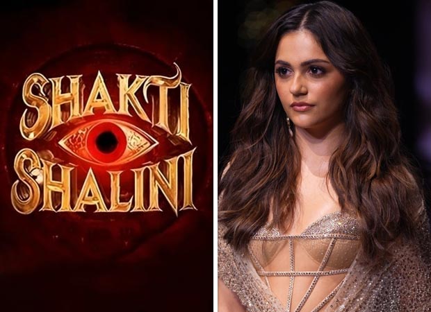 Shakti Shalini to debut with Thamma announcement video: First look reveals Aneet Padda's starring role : Bollywood News - Bollywood Hungama