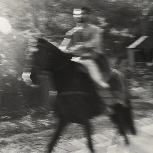 Vijay Deverakonda rides on horse to marry Rashmika Mandanna (PC: Instagram) Vijay Deverakonda rides on horse to marry Rashmika Mandanna (PC: Instagram)
