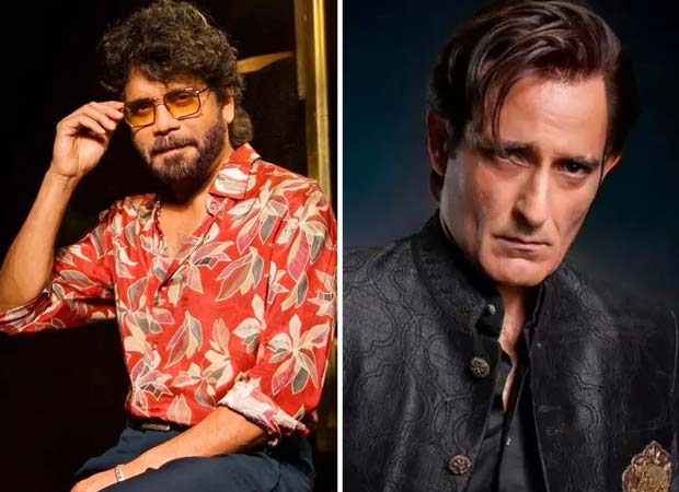 Nagarjuna clarifies, "I wasn't offered Akshay Khanna's role in Dhurandhar, wish I had": Bollywood News - Bollywood Hungama