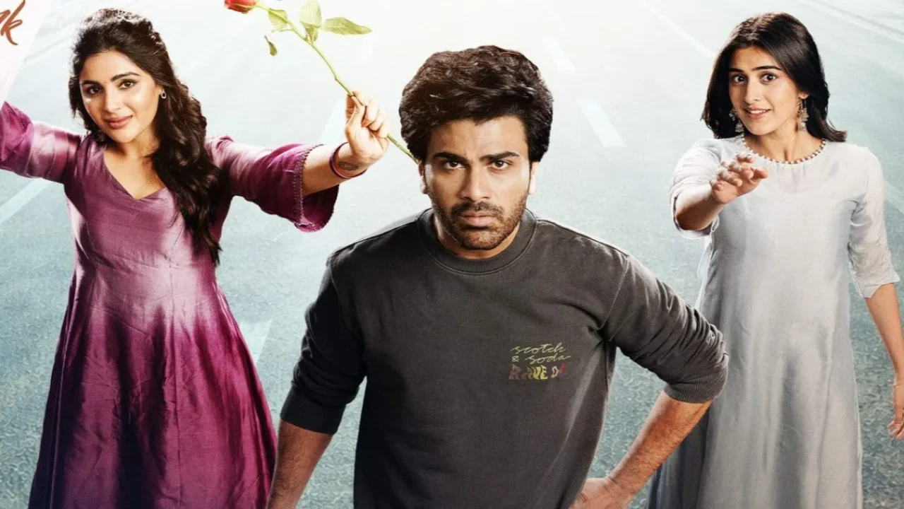 Nari Nari Naduma Murari Review
