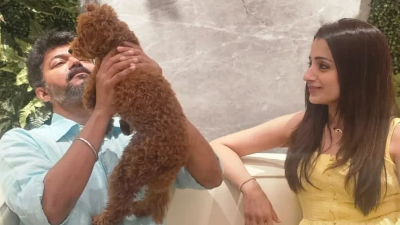 Are Thalapathy Vijay and Trisha Krishnan tying the knot? The actress's mother has given a possible hint Are Thalapathy Vijay and Trisha Krishnan tying the knot?