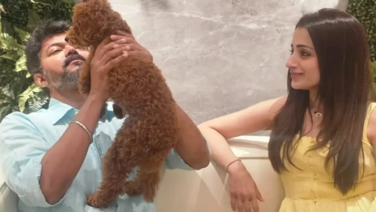 As Vijay and Sangeeta head towards divorce, fans discover alleged girlfriend Trisha Krishnan's code for Thalapathy (PC: Trisha Krishnan on IG)